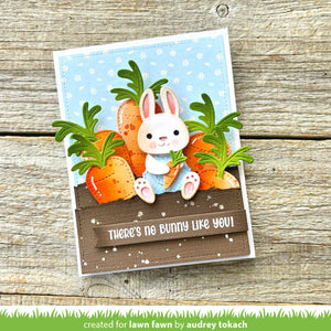 Lawn Fawn - Build-A-Bunny ACCESSORIES - Dies