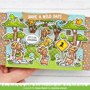 Lawn Fawn - IT'S A BIRD - Stamps Set