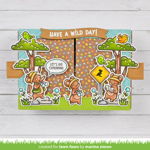 Lawn Fawn - IT'S A BIRD - Stamps Set