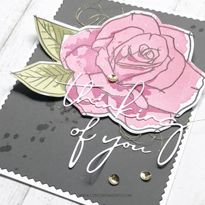 Concord & 9th - PAINTED ROSE Clear Stamps and Dies BUNDLE set