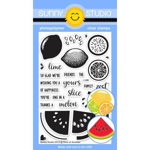 Sunny Studio - SLICE OF SUMMER - Stamp Set