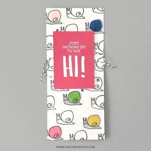 Concord & 9th - SNAIL MAIL - Stamps and Dies BUNDLE Set