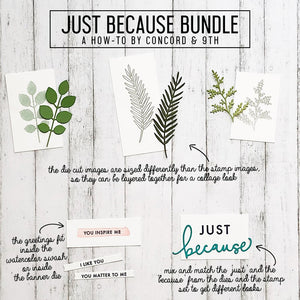 Concord & 9th - JUST BECAUSE Stamps and Dies BUNDLE Set